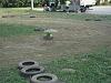 offroad-buggy2007race 31